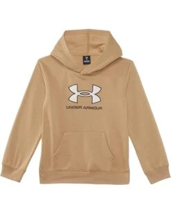Under Armour Kids Rival Logo Hoodie (Little Kids) | Hoodies & Sweatshirts
